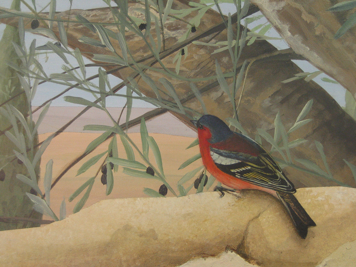 détail oiseau et branhce d'olivier décor peint sur mur